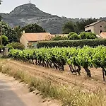 Les Vignes Vallon-Pont-dʼArc