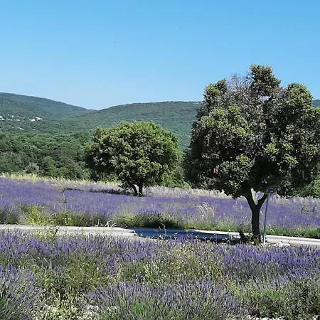 Alloggio in famiglia Les Vignes