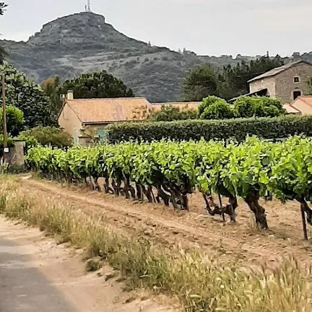 Les Vignes Vallon-Pont-d'Arc