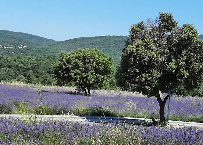 Kwatera prywatna Les Vignes