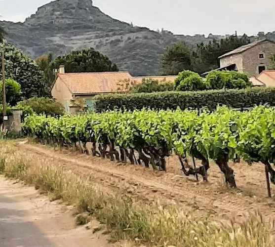 Les Vignes Vallon-Pont-dʼArc